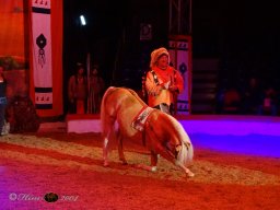 Circus YAKARI Show am 04.10.2024